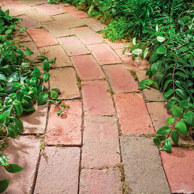 Pavers Path