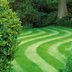 How to Grow Greener Grass