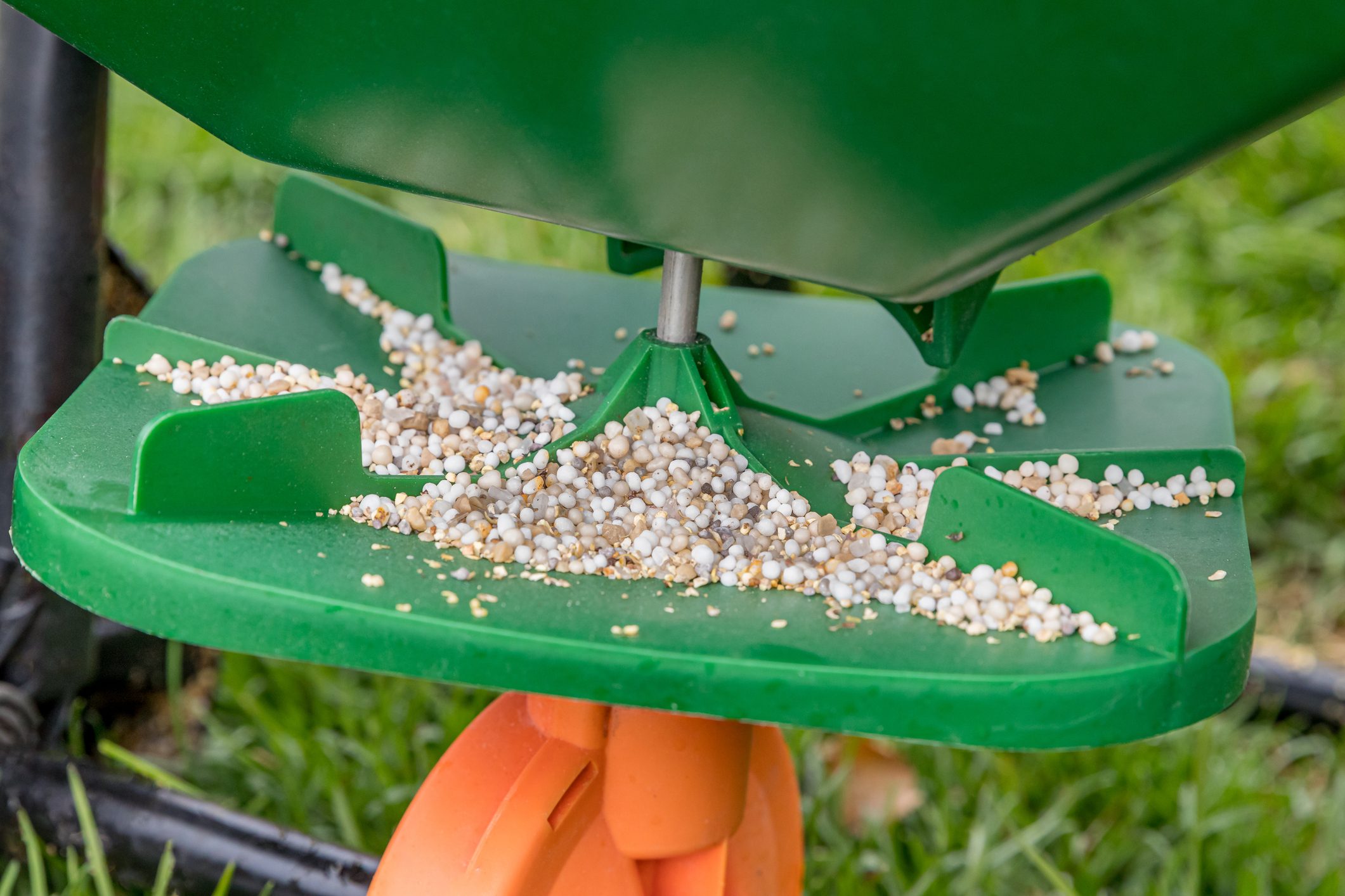 Closeup of lawn fertilizer spreader with granule of weed killer herbicide, urea nitrogen and potash
