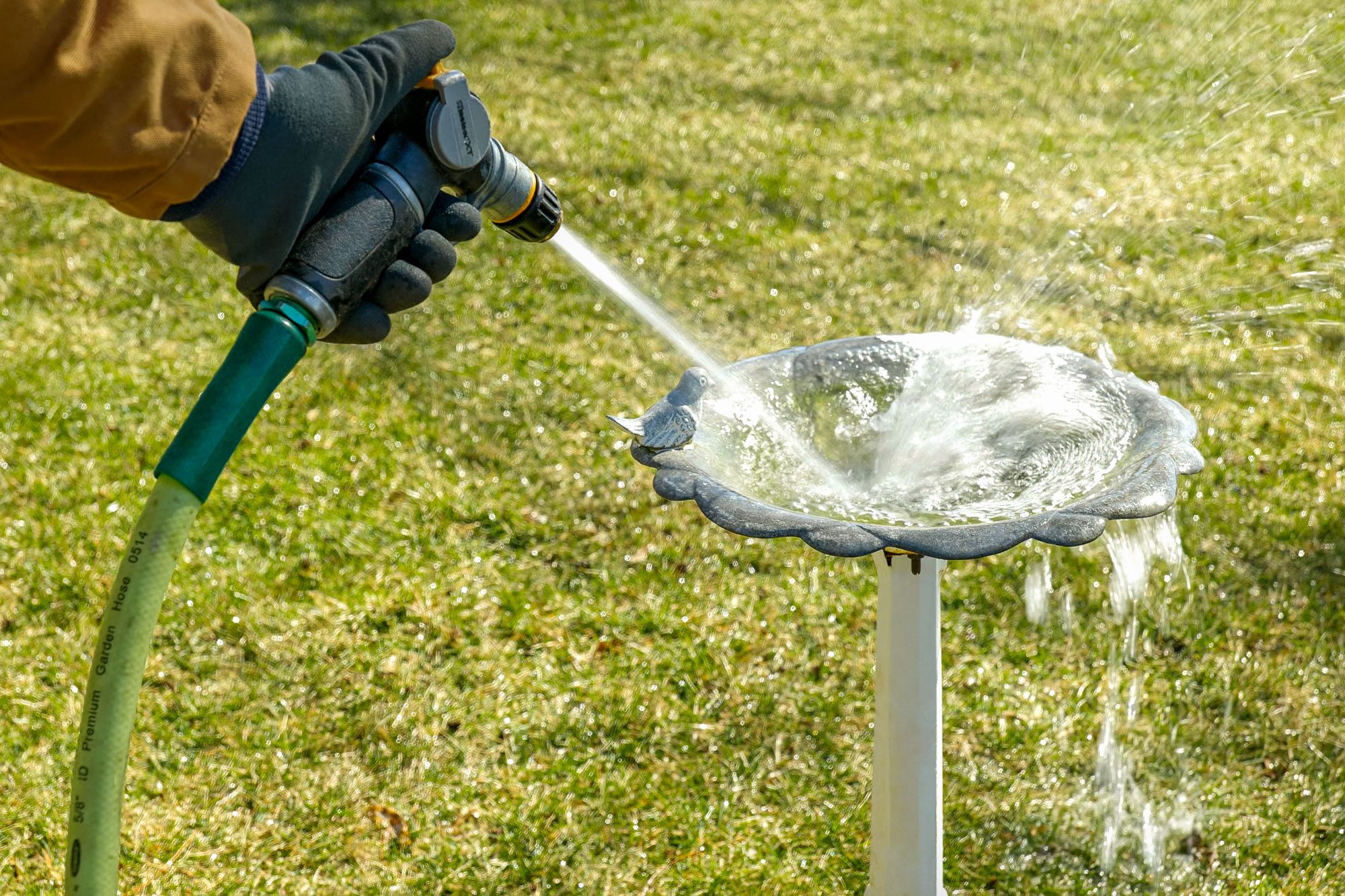 cleaning a birdbath with water