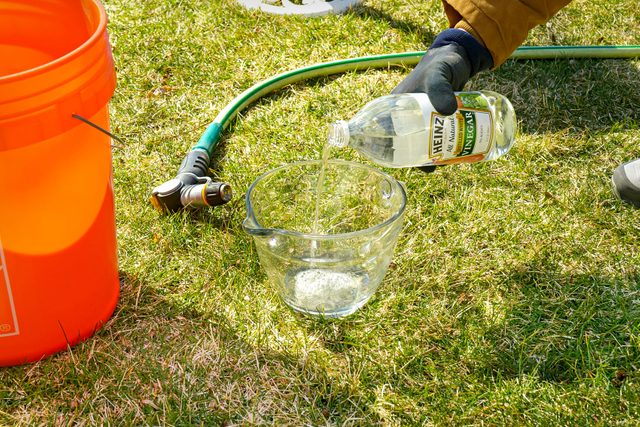 pouring distilled white vinegar into a glass beaker