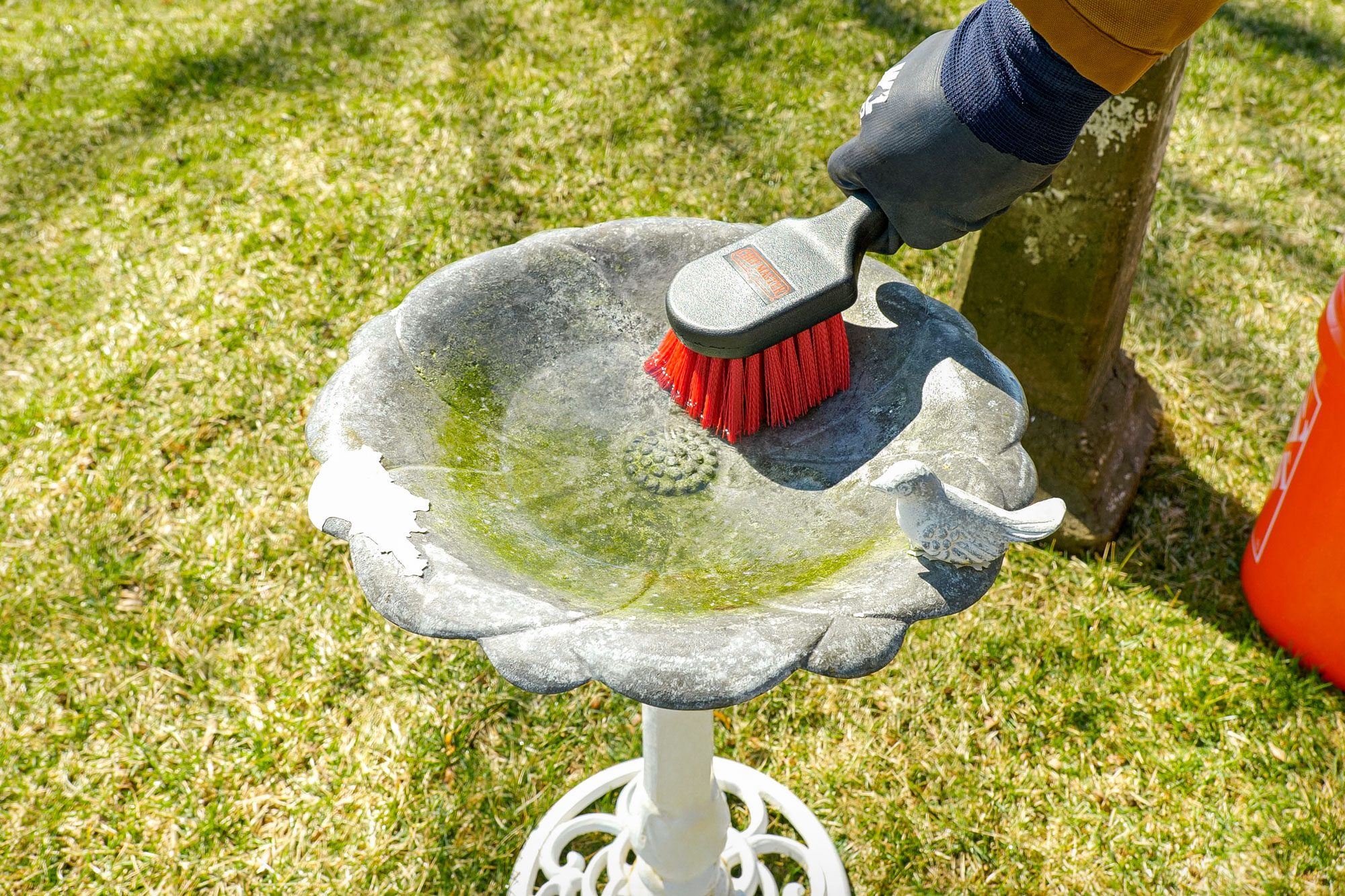 cleaning a birdbath with brush