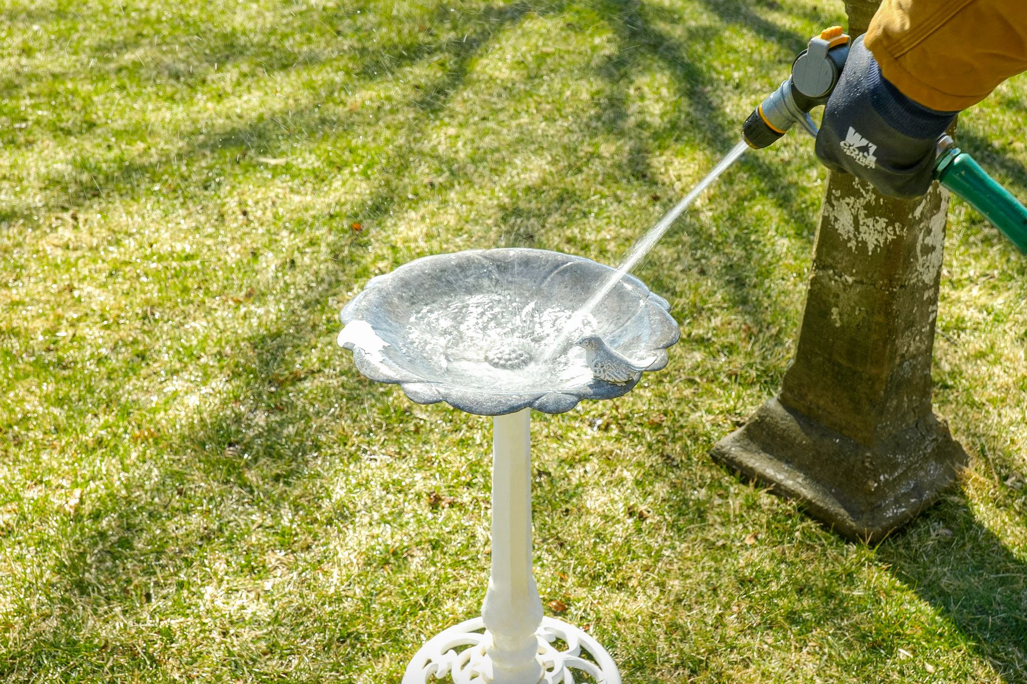 cleaning a birdbath with water