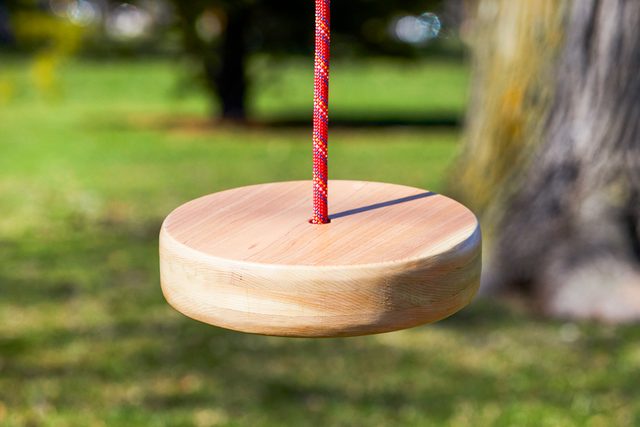 A Disc Swing