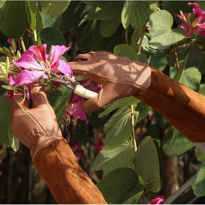 Long Gardening Gloves Ecomm Via Amazon E1681761134298