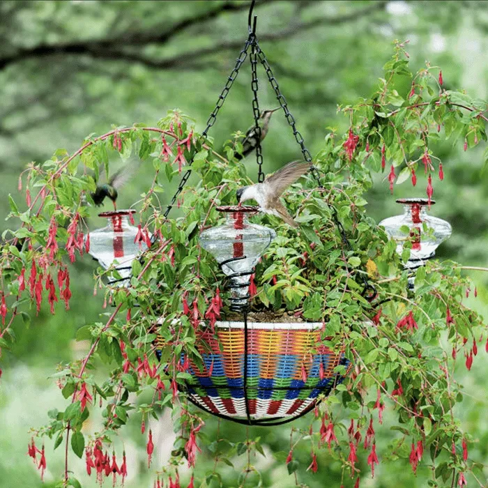 Hummingbird Feeder Ecomm Via Uncommongoods E1681827581743