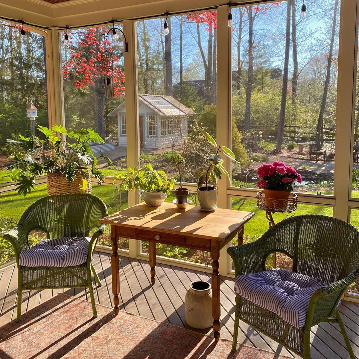 9 Cozy Screened In Porch Ideas Sunny Views Courtesy @ahousewren Instagram