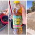 Will This Pine-Sol TikTok Hack Really Keep Flies Away From Your Porch?