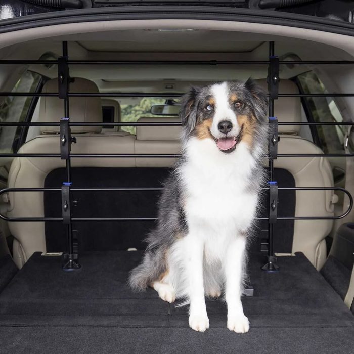 Fhm Petsafe Happy Ride Tubular Metal Dog Barrier Via Chewy.com