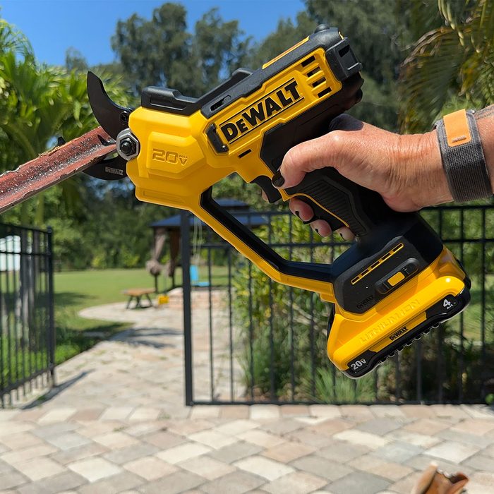 Fhma24 Dewalt 20v Pruning Shears Pamela Bondurant Ssedit 03