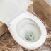 Toilet Won't Flush? These Are the Most Likely Reasons and How to Fix It