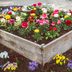 10 Best Small and Simple Flower Bed Ideas