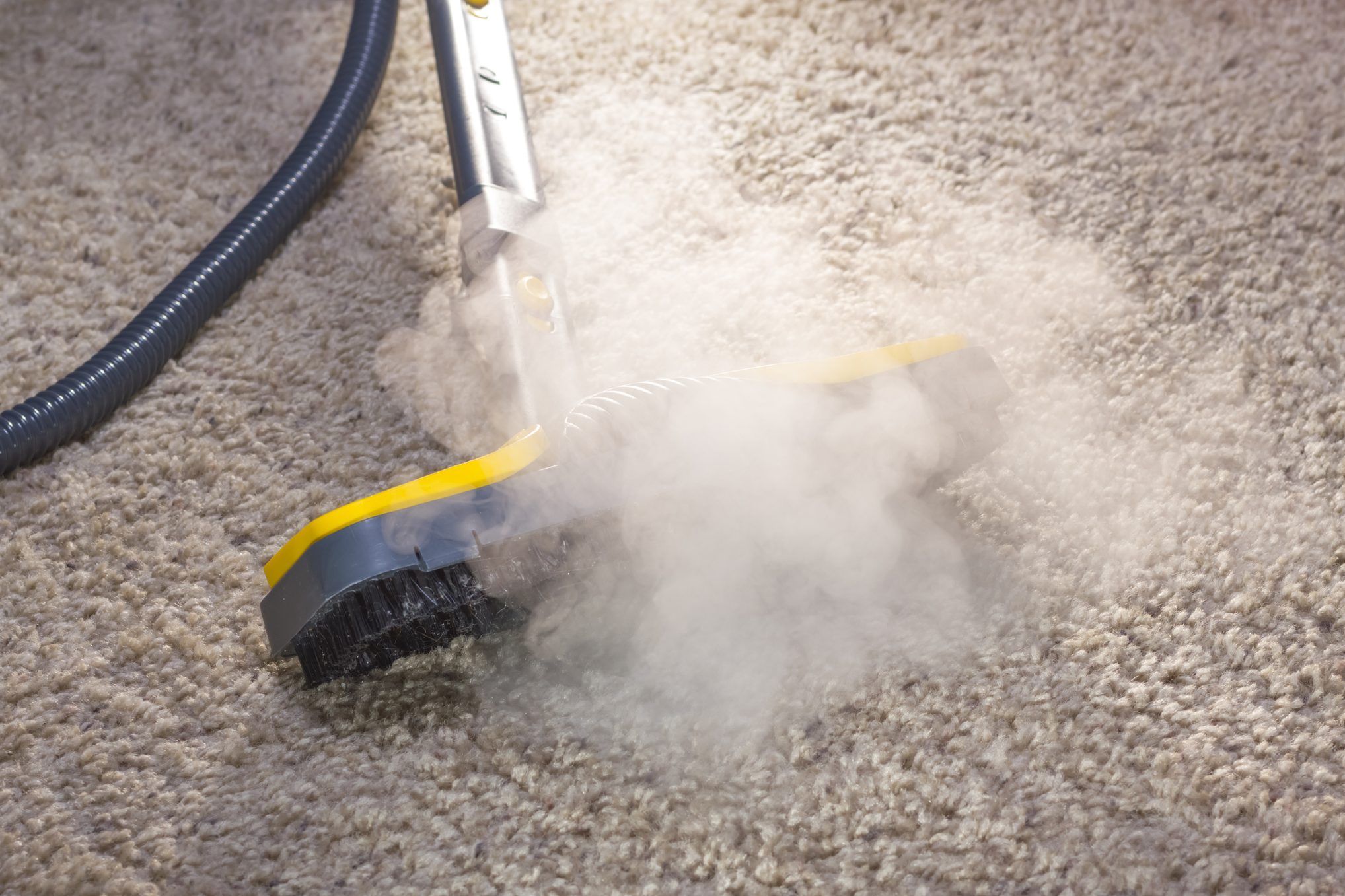 A steam cleaner in action cleaning a carpet