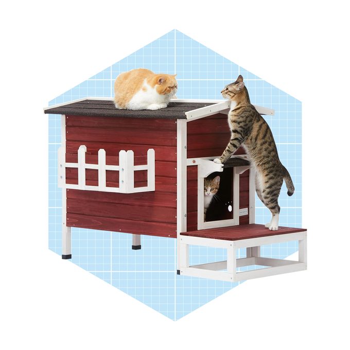 Petfits Cat House Ecomm Via Amazon.com