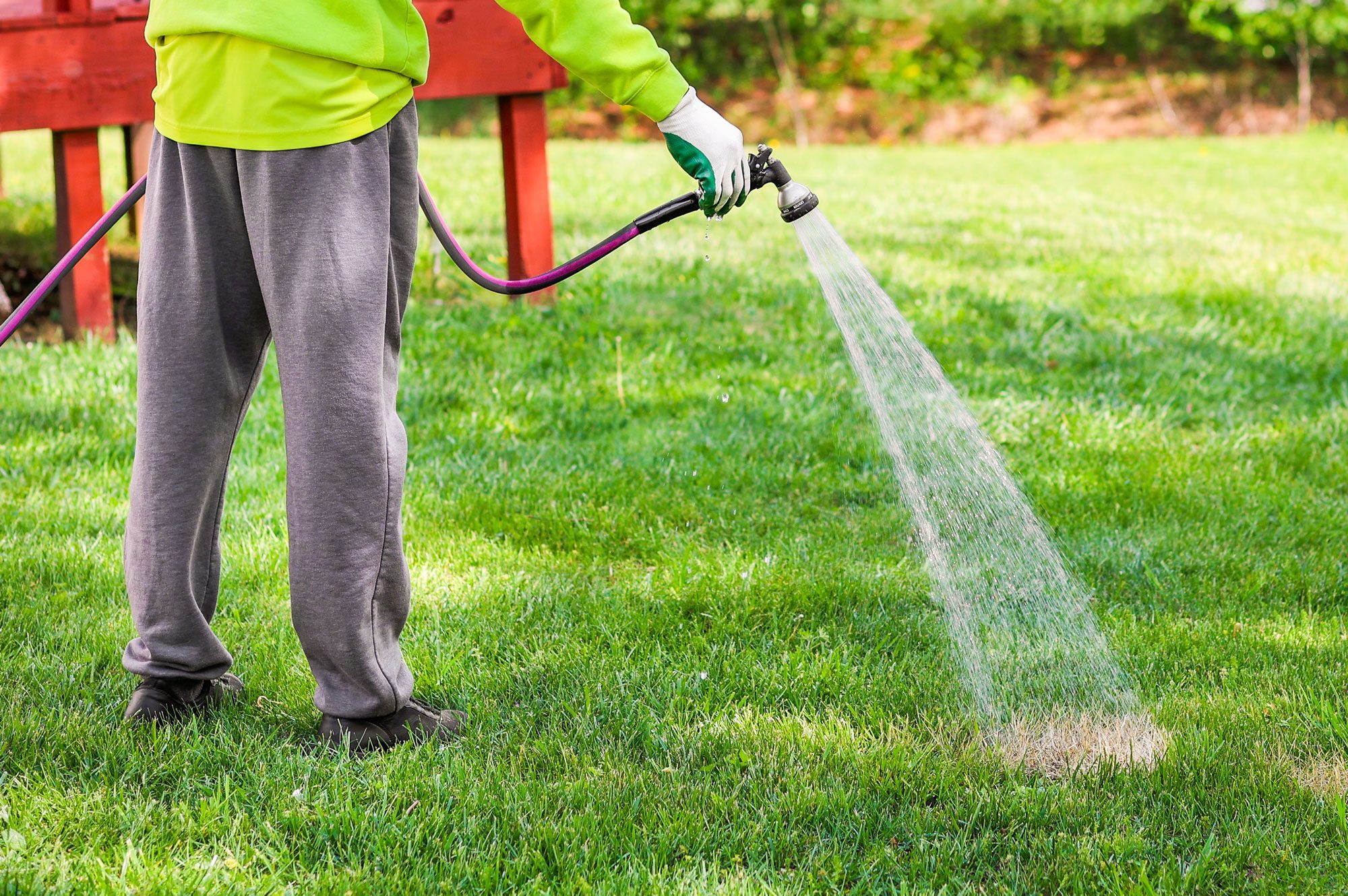 A Man Spraying A Lawn With A Water Hose