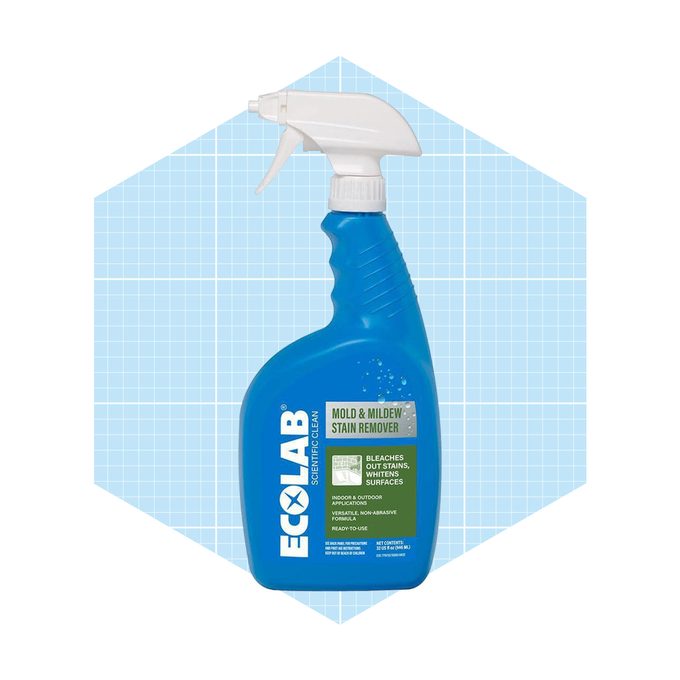 Ecolab Mold And Mildew Stain Remover