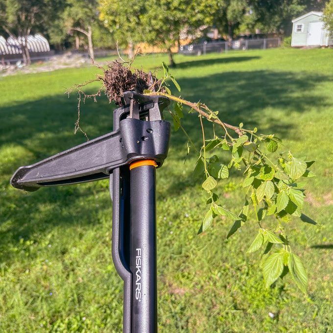 Fiskars Deluxe Stand Up Weeder