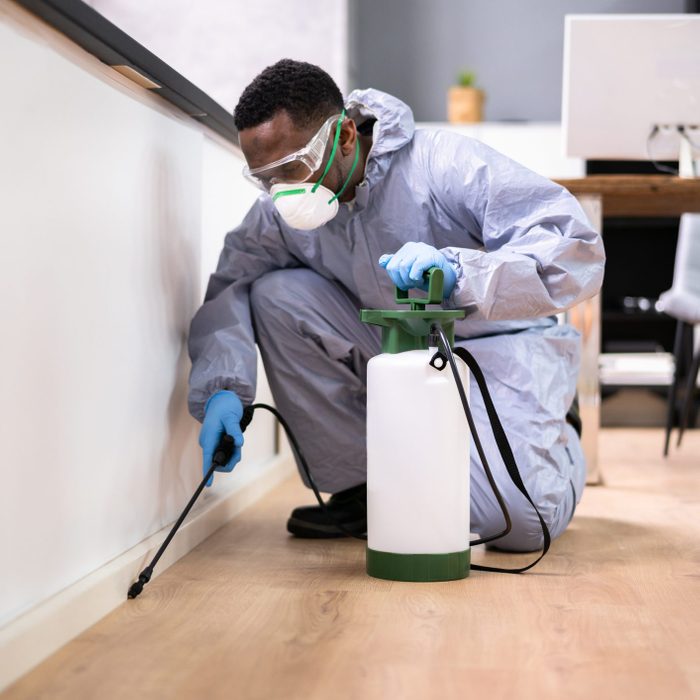 Pest Control Exterminator Man Spraying Termite Pesticide