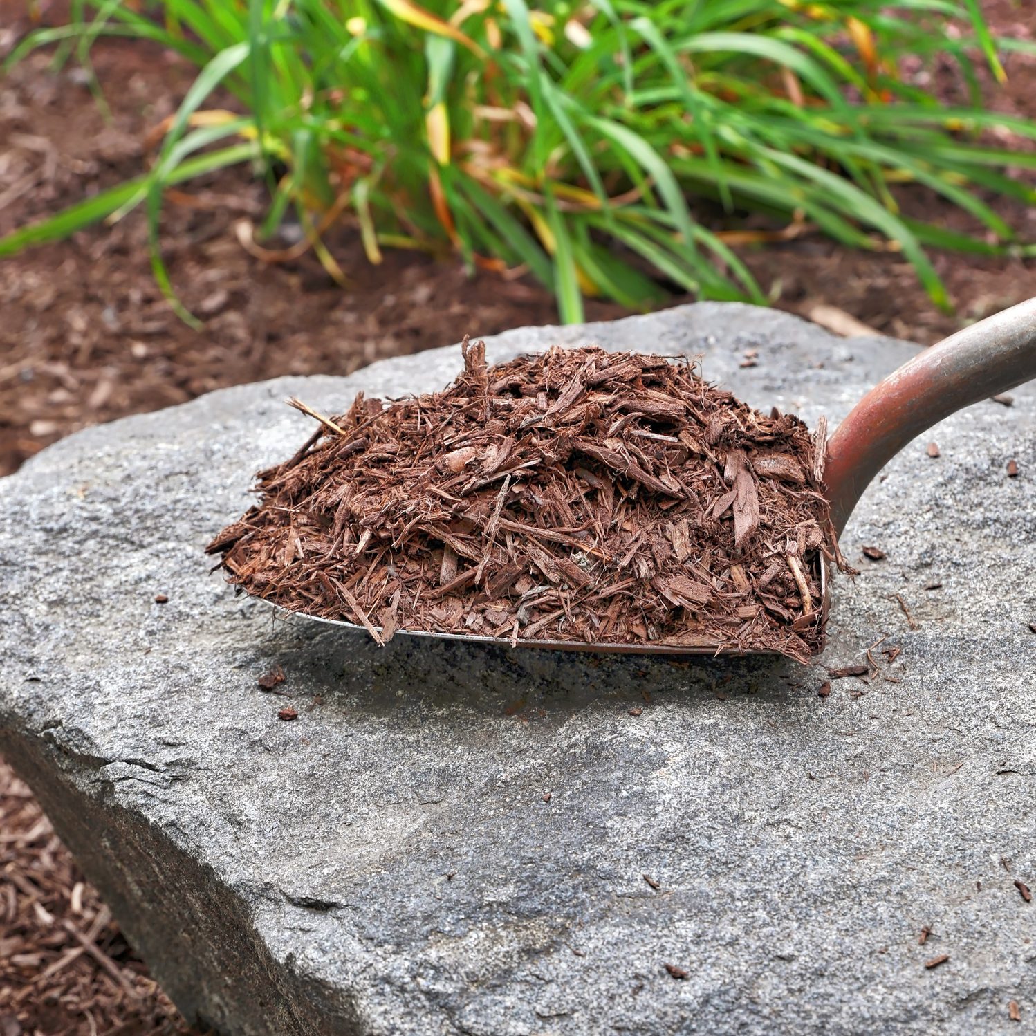 Shovel filled with mulch and back yard garden