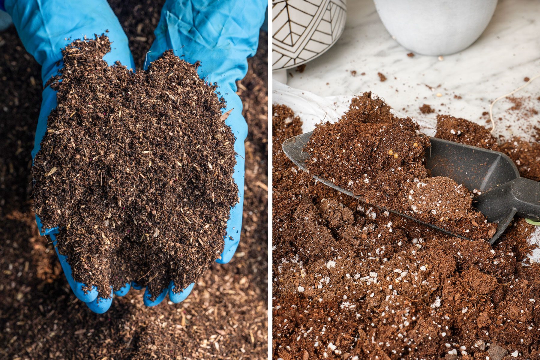 What’s the Difference Between Potting Soil and Potting Mix?