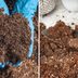 What's the Difference Between Potting Soil and Potting Mix?