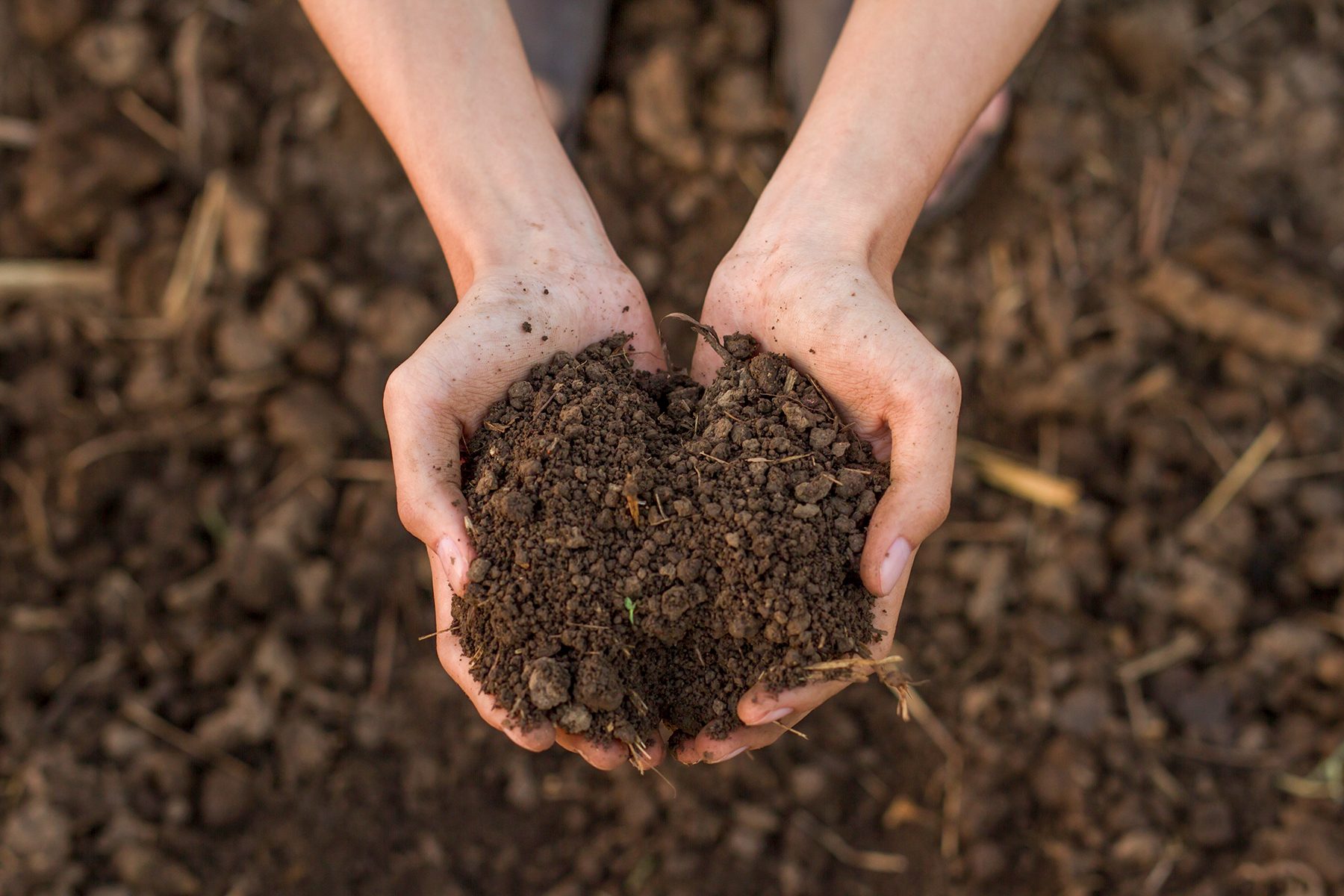 Amend The Soil Gettyimages 1285020048