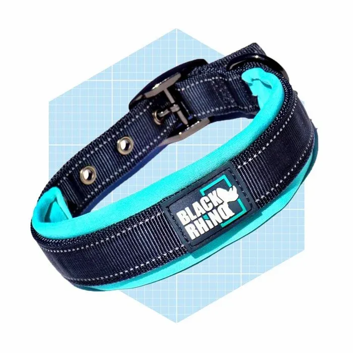 Black Rhino The Comfort Collar Ultra Soft Neoprene Padded Dog Collar For All Breeds Ecomm Amazon