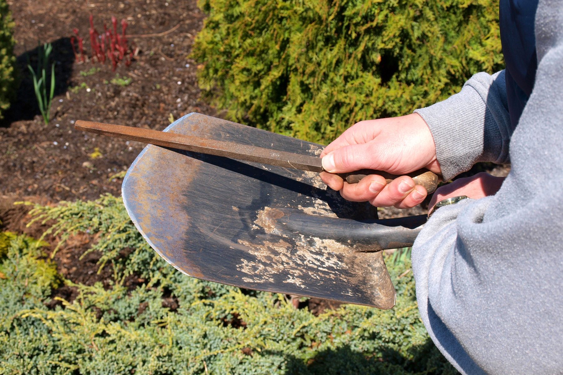 Clean And Maintain Your Garden Tools Gettyimages 515857428