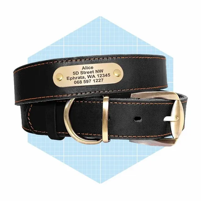 Didog Genuine Leather Dog Collars With Engraved Nameplate Ecomm Amazon (1)