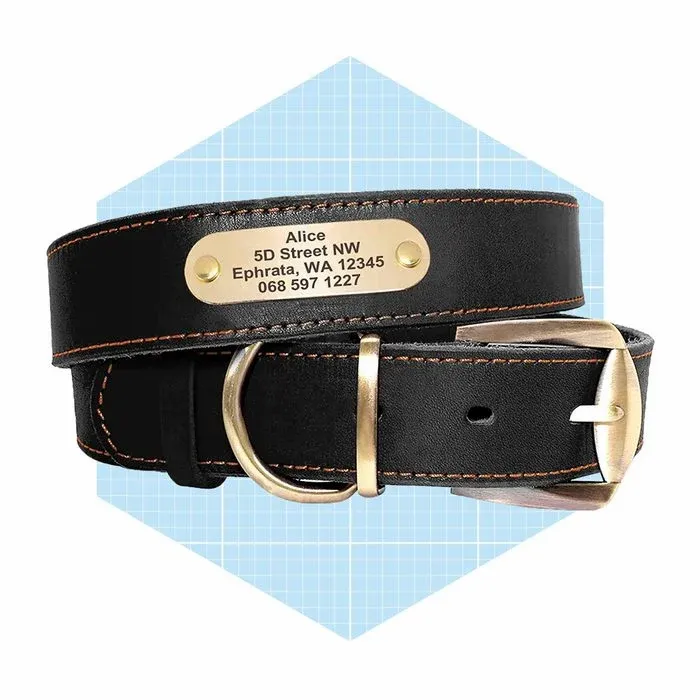 Didog Genuine Leather Dog Collars With Engraved Nameplate Ecomm Amazon (1)