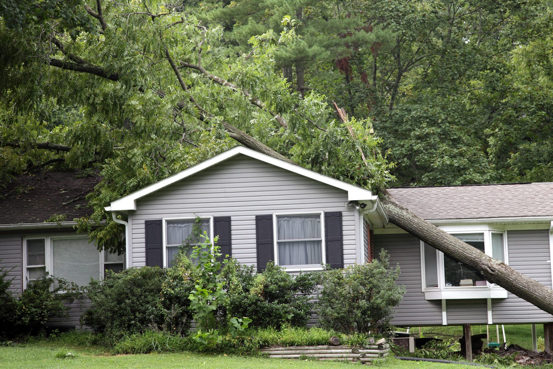 Fallen tree on top of grey bungalow house