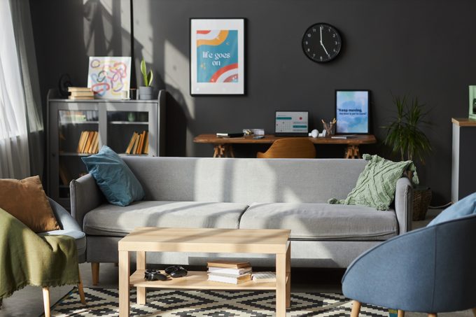 Sunlit Designer Living Room Interior