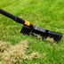 Tips on How to Dethatch a Lawn