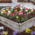 How to Prevent Weeds in Flower Beds