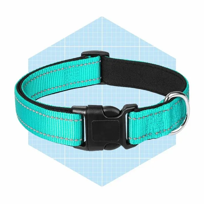 Joytale Reflective Dog Collar Ecomm Amazon