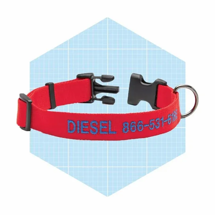 Personalized Side Release Buckle Collar Ecomm Orvis