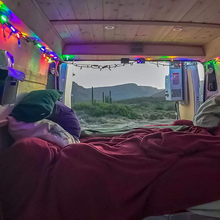 Multitask The String Lights Steve