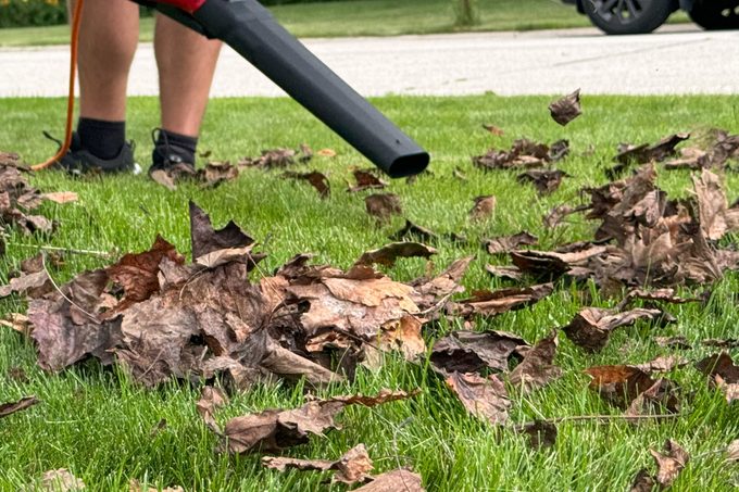 Fhma24 Toro Ultra Leaf Blower Vac Annamarie Higley 03 Ssedit