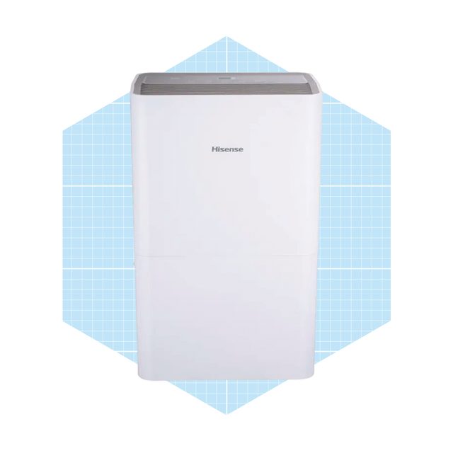 Hisense Dehumidifier