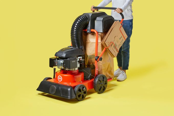The Dr Leaf And Lawn Vacuum Is As Convenient As It Is Efficient
