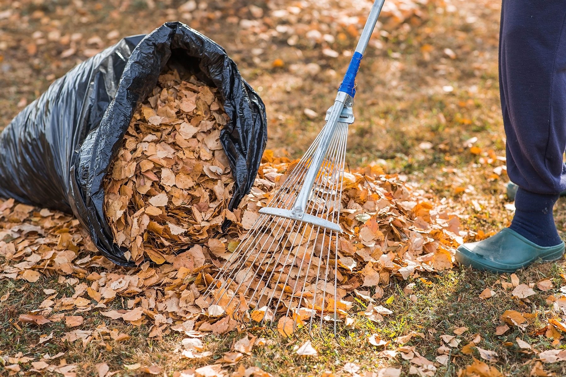 10 Tips For Cleaning Up After A Hurricane Or Other Natural Disaster Gettyimages 2173962214