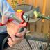 We Found the 7 Best Pruning Shears After Weeks of Testing