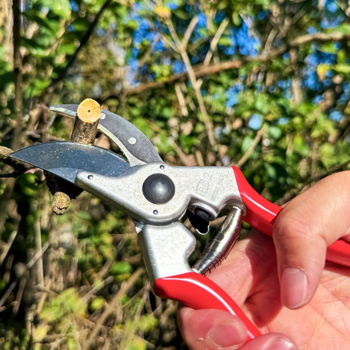 Felco 2 Pruning Shears