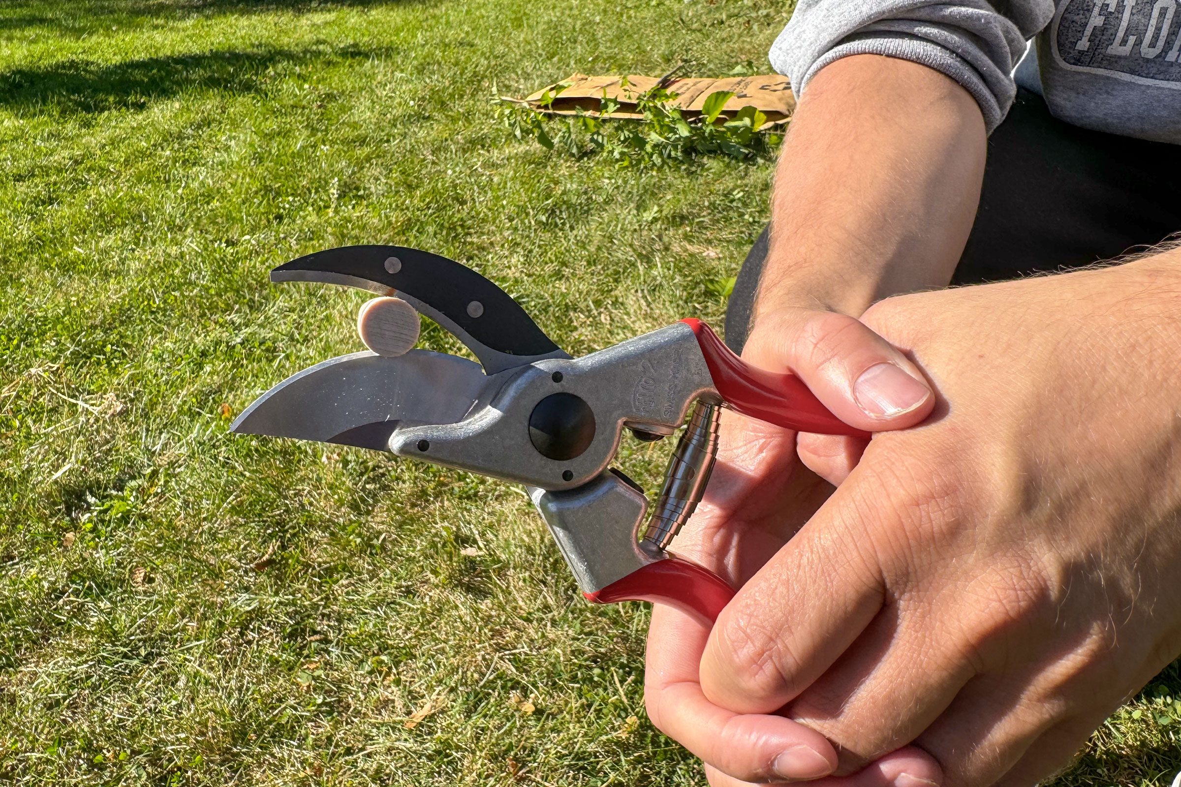 Felco 2 Pruning Shears