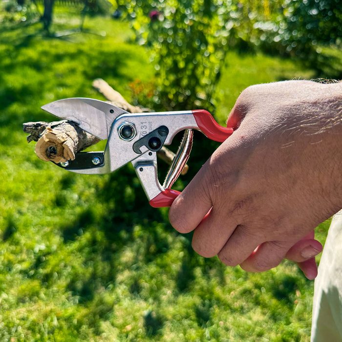 Felco 31 Anvil Pruning Shears