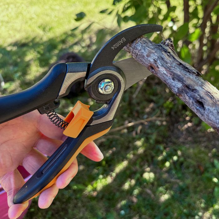 Fhma24 Fiskars Bypass Pruning Shears Fhm 01 Nkedit.jpg