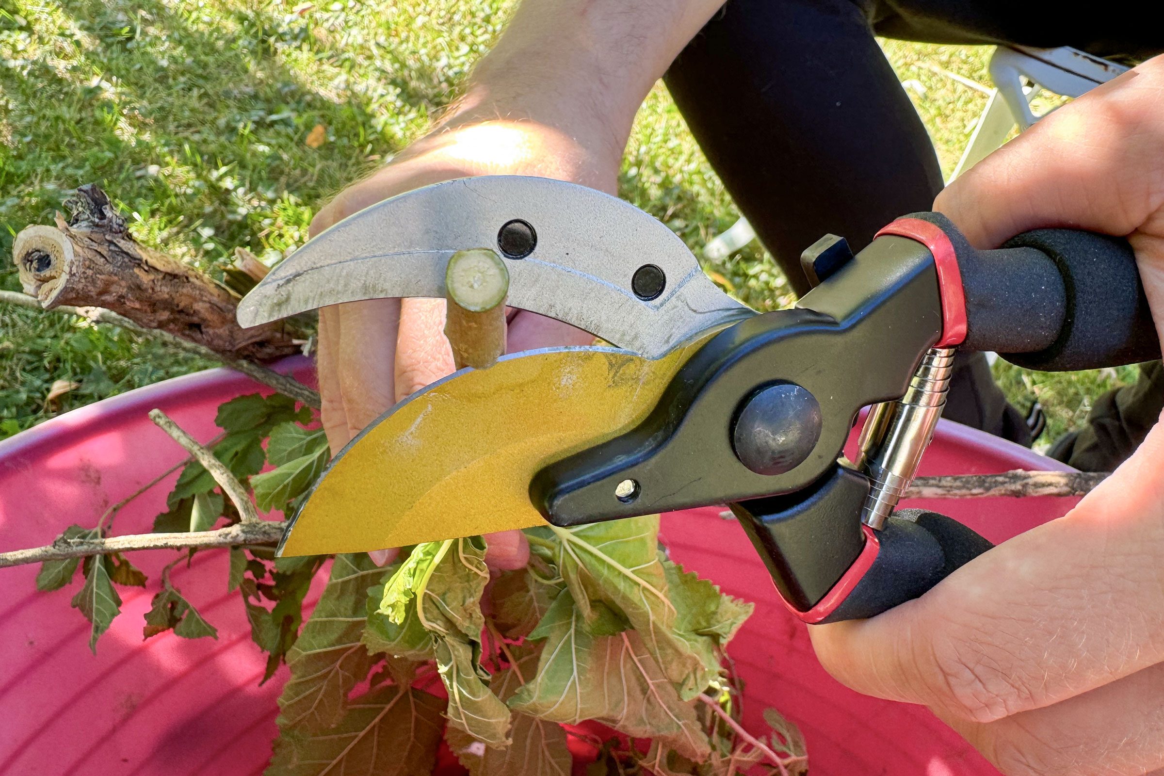 Gonicc Professional Titanium Bypass Pruning Shears