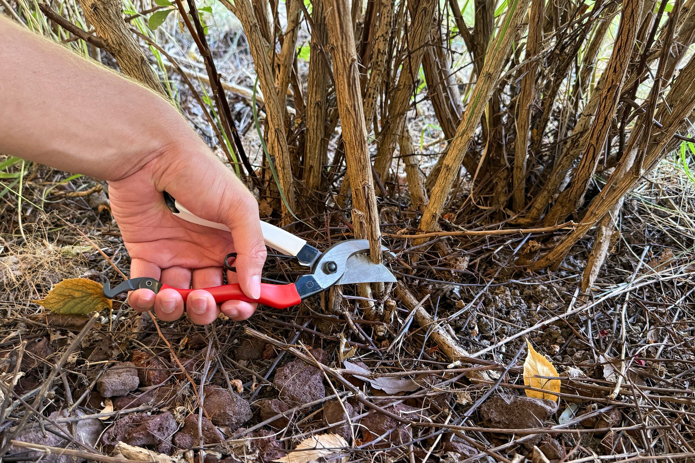 Okatsune 103 Bypass Pruners 