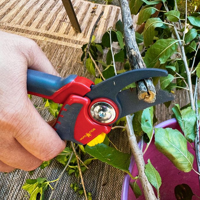 Wolf Garten Premium Plus Bypass Pruner