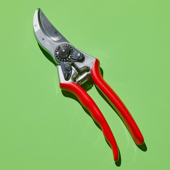 Felco 2 Pruners